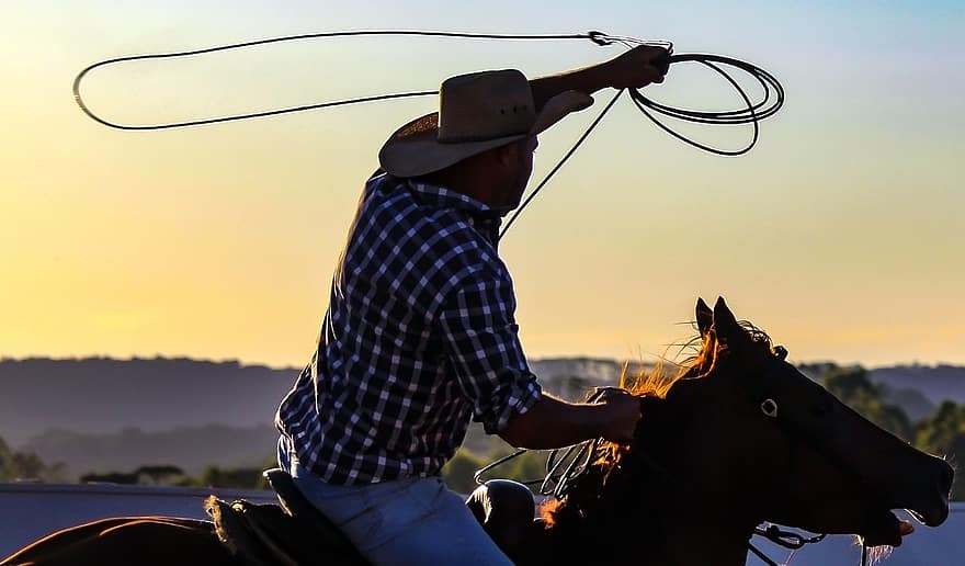 ковбой, Родео Лошадь, лошадь, шапка, животное, родео, люди, заход солнца, ферма, сельская сцена, солнце