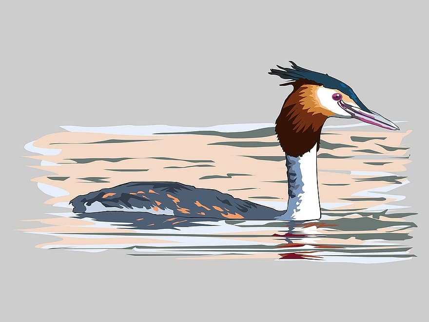 Lambale, птица, водяная птица, пруд, план воды, синий, саман, Adobe Photoshop, Adobe Illustrator, иллюстратор, Рисование