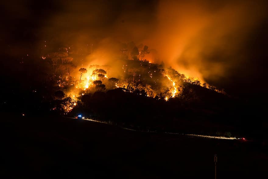 Foc salbatic, incendiu de pădure, bushfire, foc, dezastru, flăcări, pădure, natură, schimbarea climei, distrugere, Italia