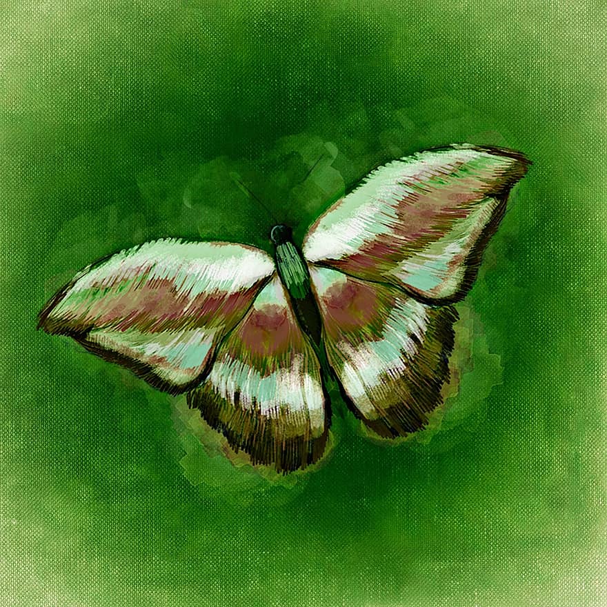 mariposa, insecto, volador
