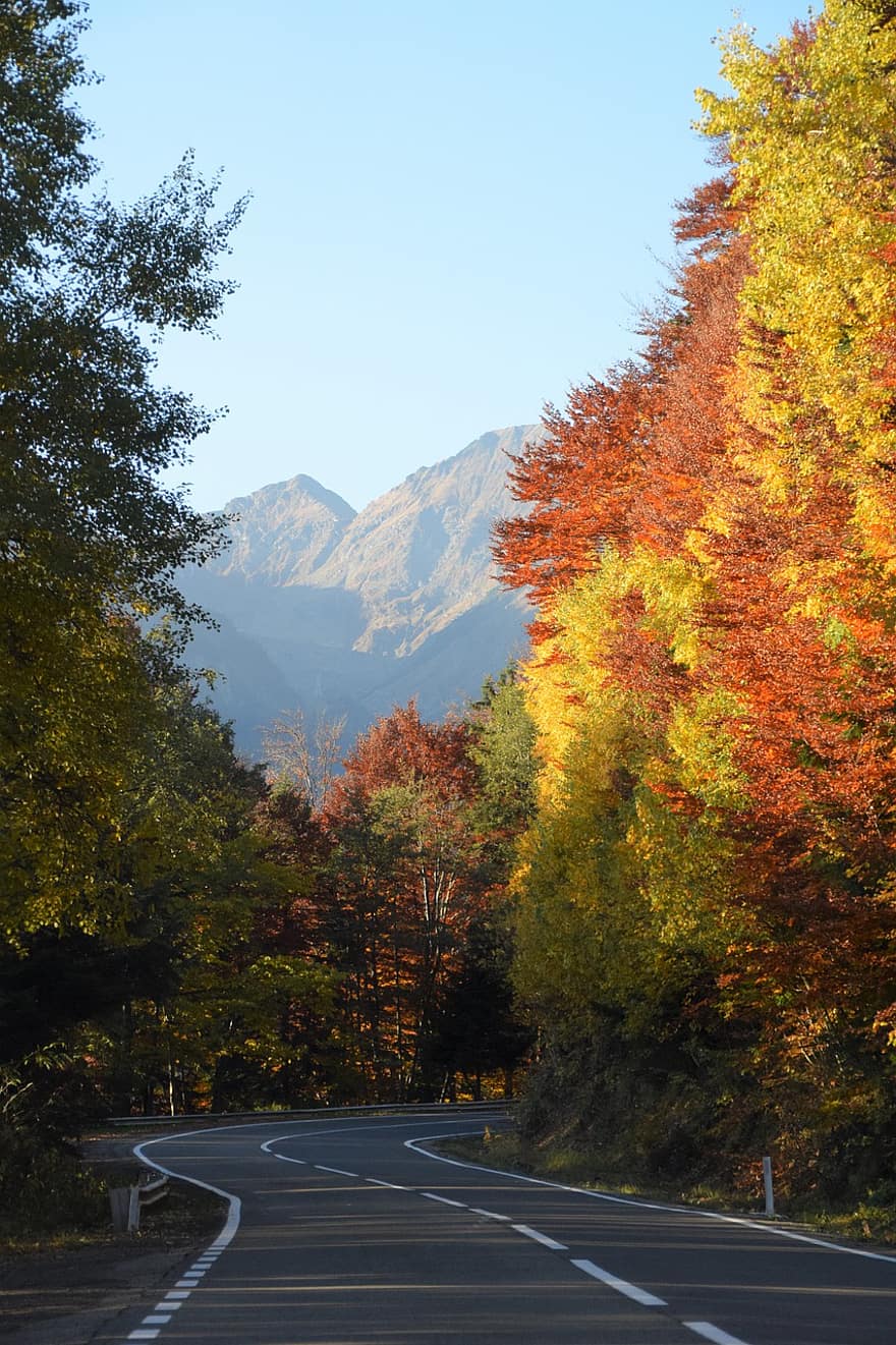 Droga, góry, las, Góry Fagaraskie, Rumunia, Transylwania, Karpaty, podróżować, jesień, drzewo, żółty