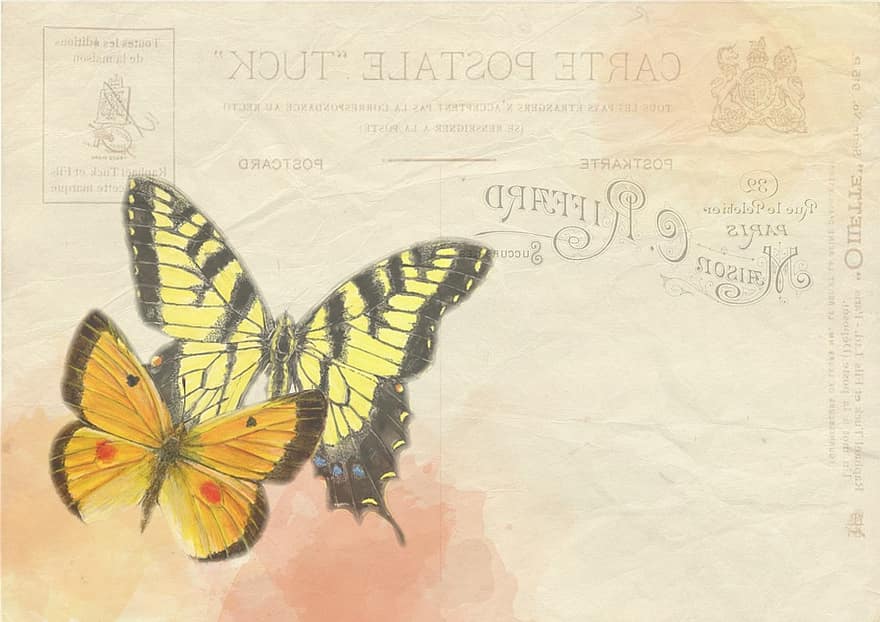 vlinder, achtergrond, post, ansichtkaart, wijnoogst, natuur, vlinder achtergrond, ontwerp, decoratie, patroon, decoratief