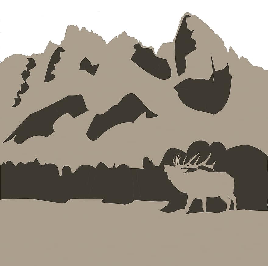 grand tetonok, jávorszarvas, nemzeti, park, Wyoming, természet, bika, állat, vad, vadvilág, ősz