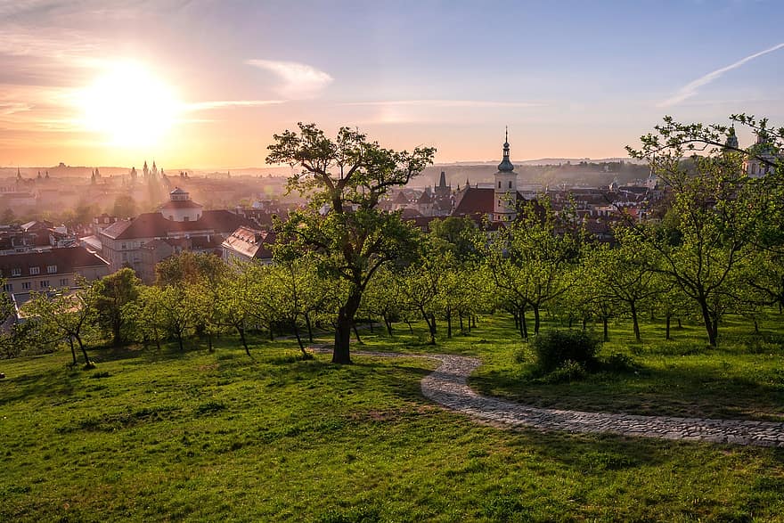 Прага, Европа, градски пейзаж, парк, лято, лъчи, изгрев, сграда, замък, катедрала, църква