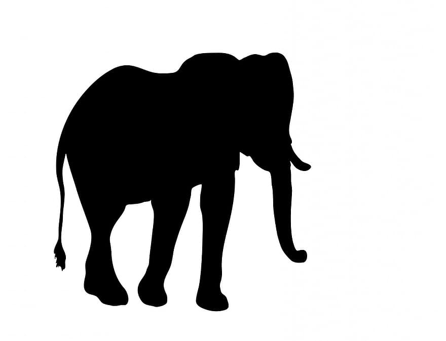 elefant, animal, gran, negre, silueta, art, aïllat, blanc