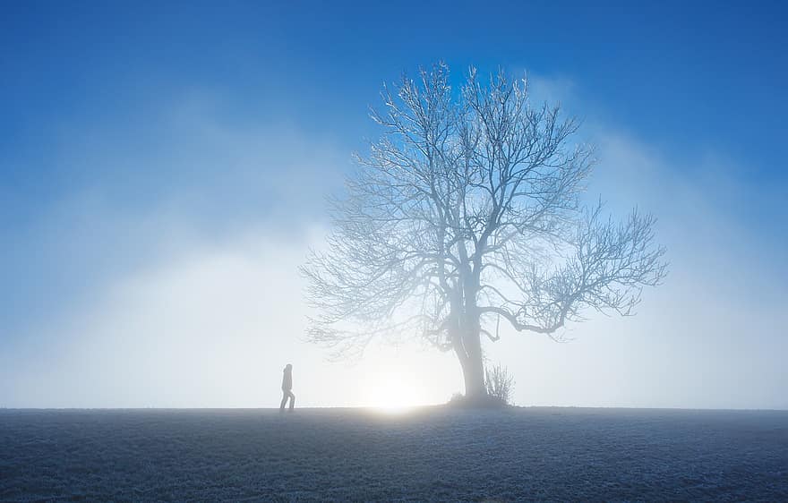 Thiên nhiên, mùa đông, cây, Mùa, ngoài trời, sương mù, màu xanh da trời, phong cảnh, đàn ông, hình bóng, sự cô đơn