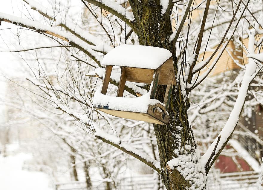 birdhouse, albero, la neve, nevoso, brina, rami, invernale, inverno, natura, giardino, freddo