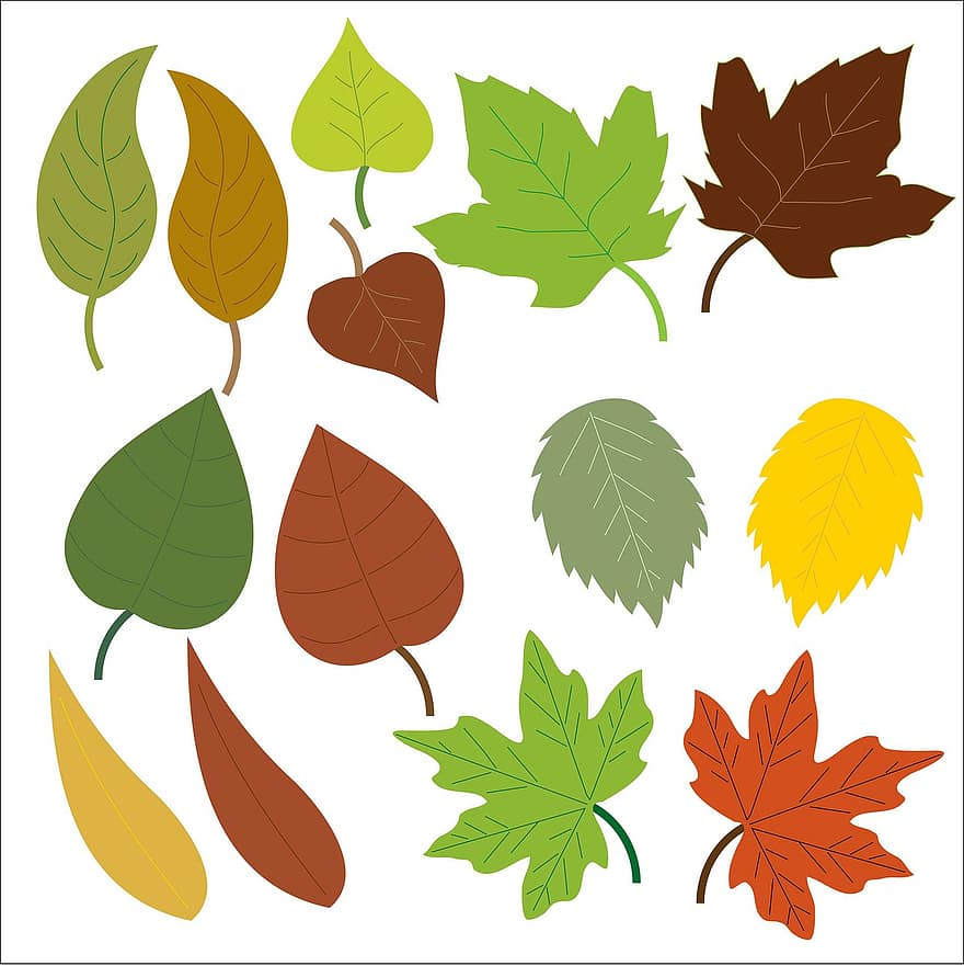 blad, löv, ek, lönn, grön, brun, isolerat, ikoner