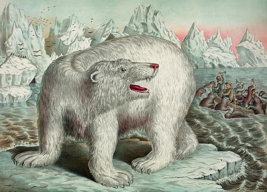 vintage, Antiguidade, arte, Urso, Urso polar, animal, selvagem, animais selvagens, vida selvagem, natureza, Polo Norte