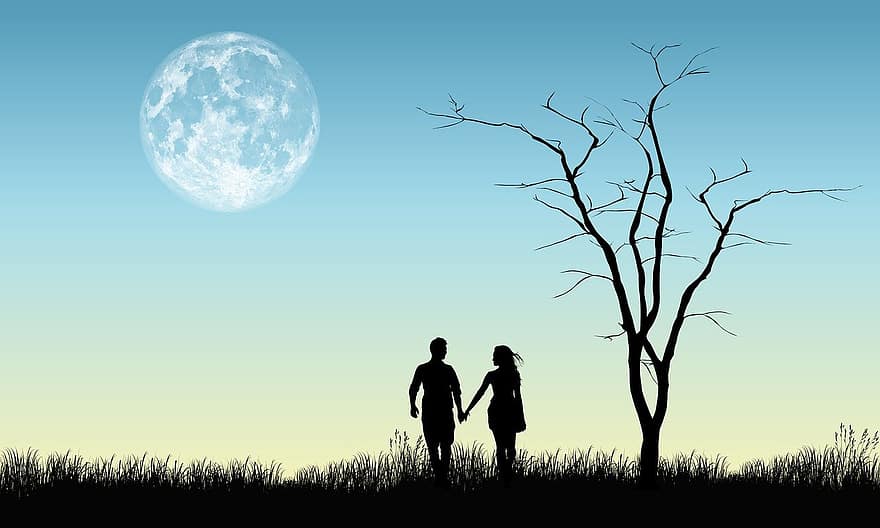 カップル、愛、月、木、牧草地、シルエット、フィールド、ロマンチック、関係、一緒に、夕暮れ