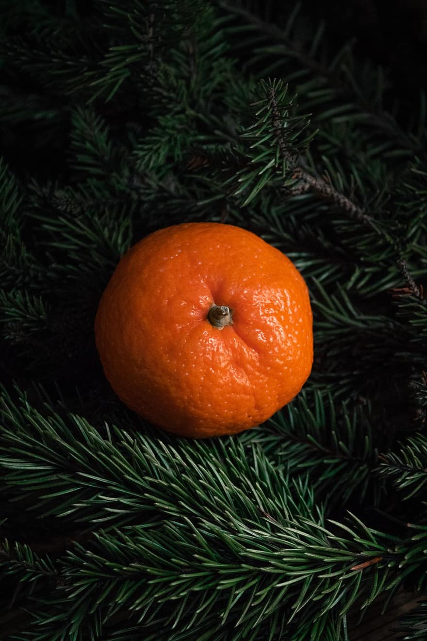 Mandarin, Fruit, Christmas, Orange, Christmas Tree, New Year, Holiday, Branch, Ornament, Decor, Decoration