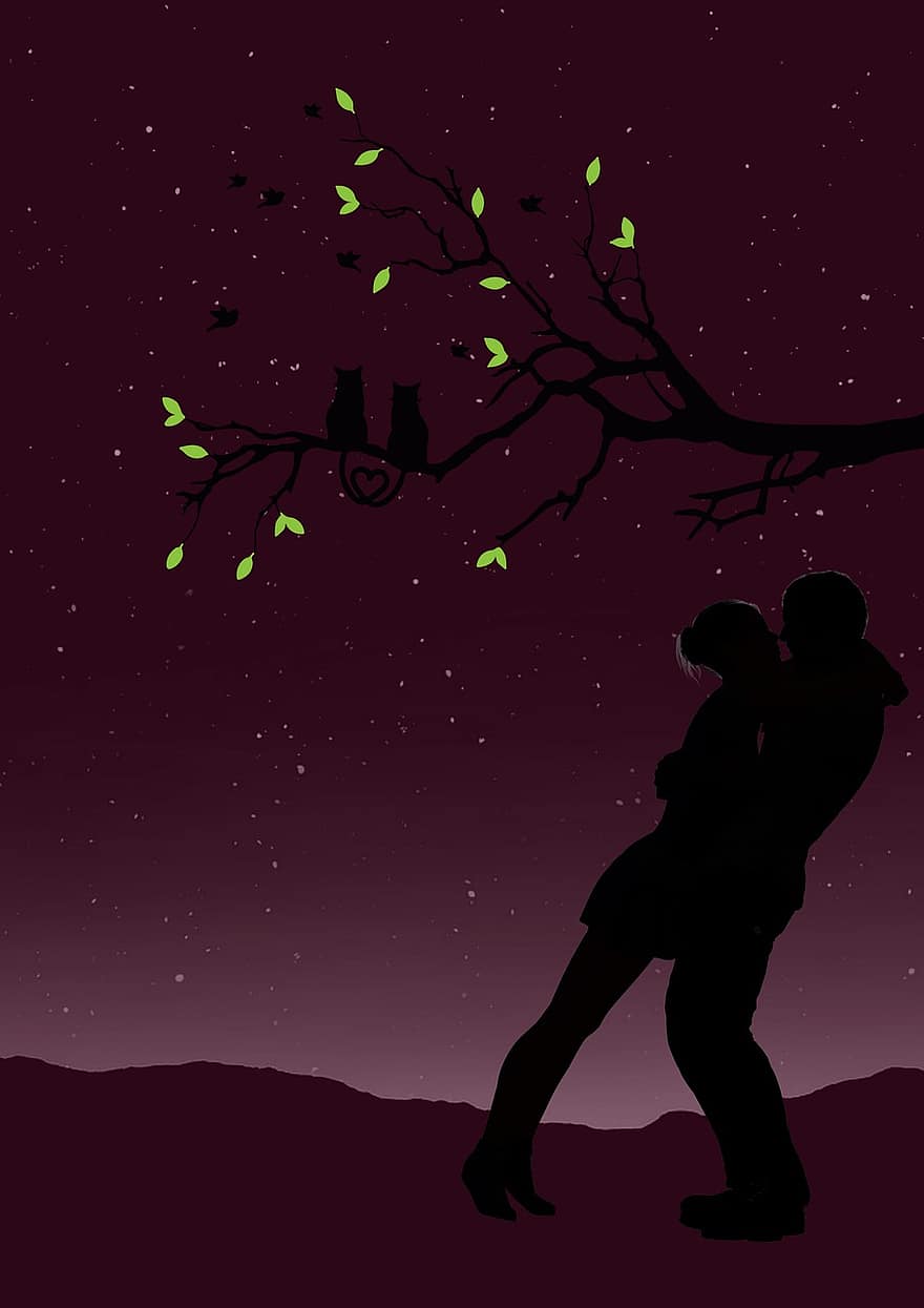 casal, noc, chłopaki, Natura, sylwetka, nocne niebo, krajobraz, drzewo, ptak, gałązki, stare drzewo