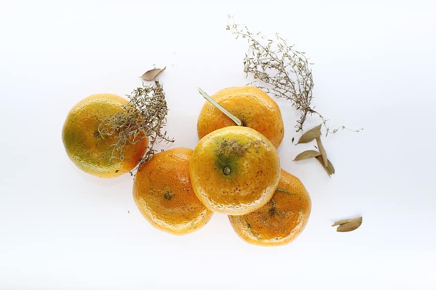 apelsinai, vaisiai, citrusiniai vaisiai, Citrusiniai vaisiai, derlius, gaminti, ekologiškas, šviežias, švieži vaisiai
