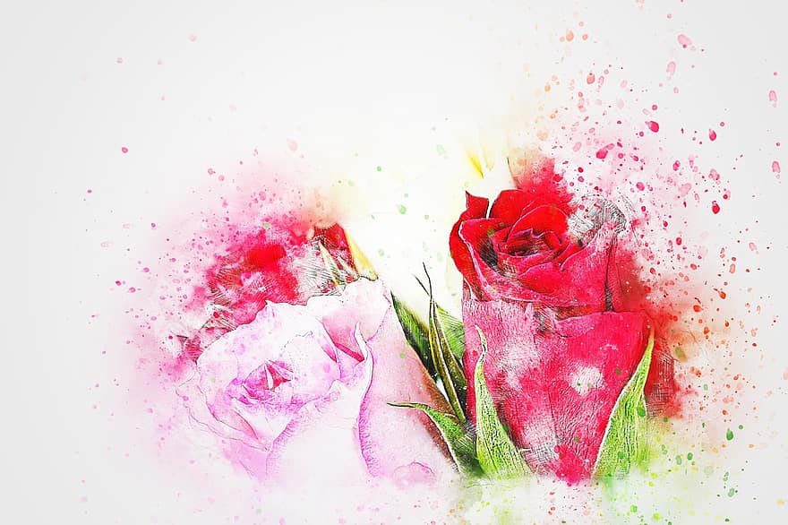 Flowers, Roses, Wedding, Art, Nature, Watercolor, Vintage, Summer, Romantic, Abstract, Artistic