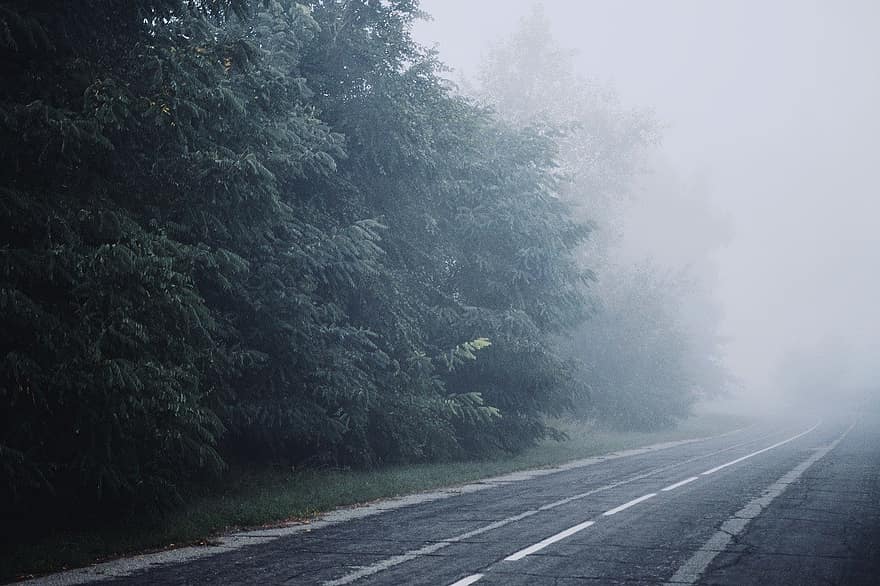 niebla, naturaleza, la carretera, bosque, árbol, paisaje, lluvia, clima, viaje, mojado, escena rural