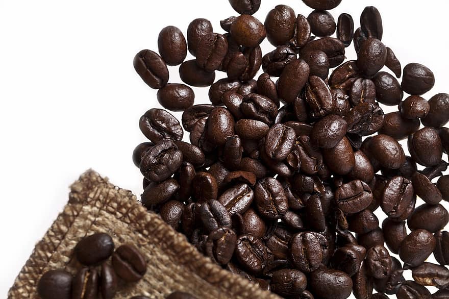 pražená kávová zrna, Kávová zrna, kofein, makro, zblízka, fazole, napít se, detail, izolovaný, pozadí, semínko
