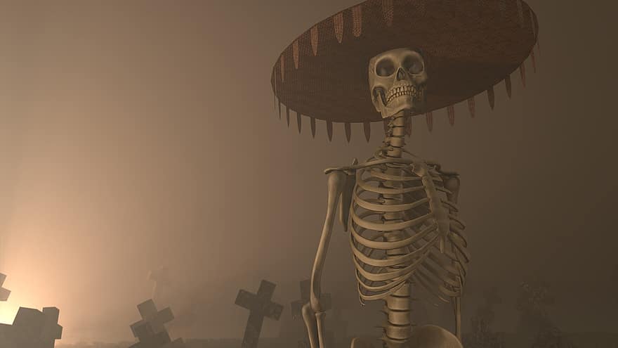 schedel, skelet, dood, beenderen, begraafplaats