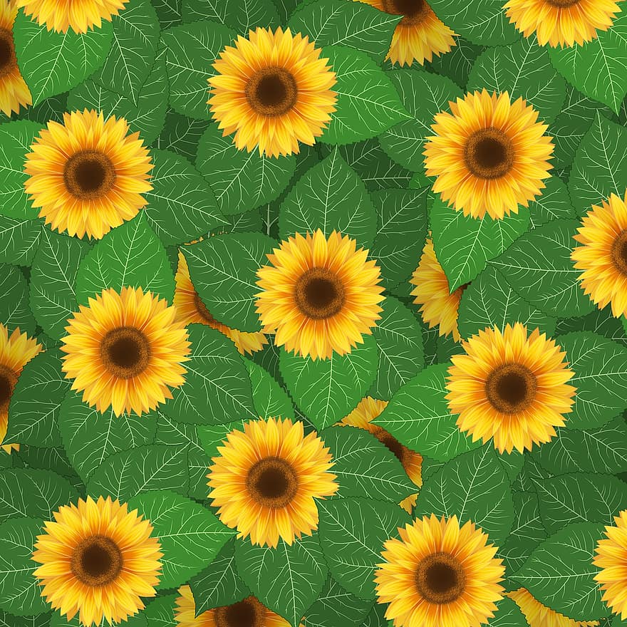 Sonnenblumen, Blumen, Hintergrund, Muster, Laub, Pflanze, Natur, Sammelalbum, Hintergründe, Blatt, Blume