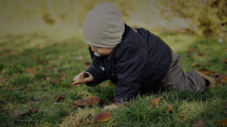 Baby, Crawl, Little Boy, Child, Discover The World, Family, Young, Small Hands, Autumn, Nature, Leaves