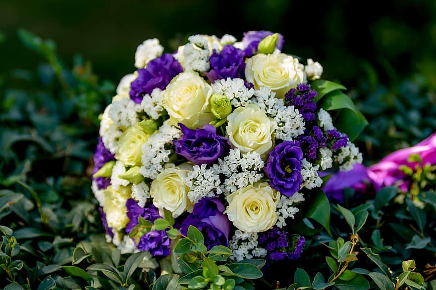 bouquet da sposa, fiori, composizione floreale, mazzo, foglia, freschezza, pianta, fiore, avvicinamento, petalo, estate