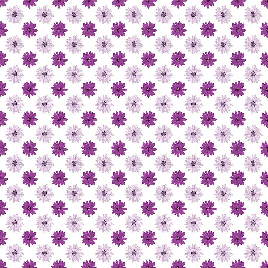 fiori, viola, floreale, modello, design, fiori viola, motivo floreale, disegno floreale, senza soluzione di continuità, sfondo senza soluzione di continuità, sfondo