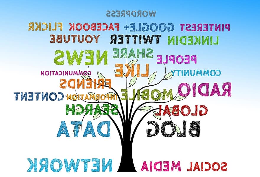Baum, Sozial, Medien, Struktur, Vernetzung, Präsentation, Logo, sozialen Medien, Internet, Facebook, Google
