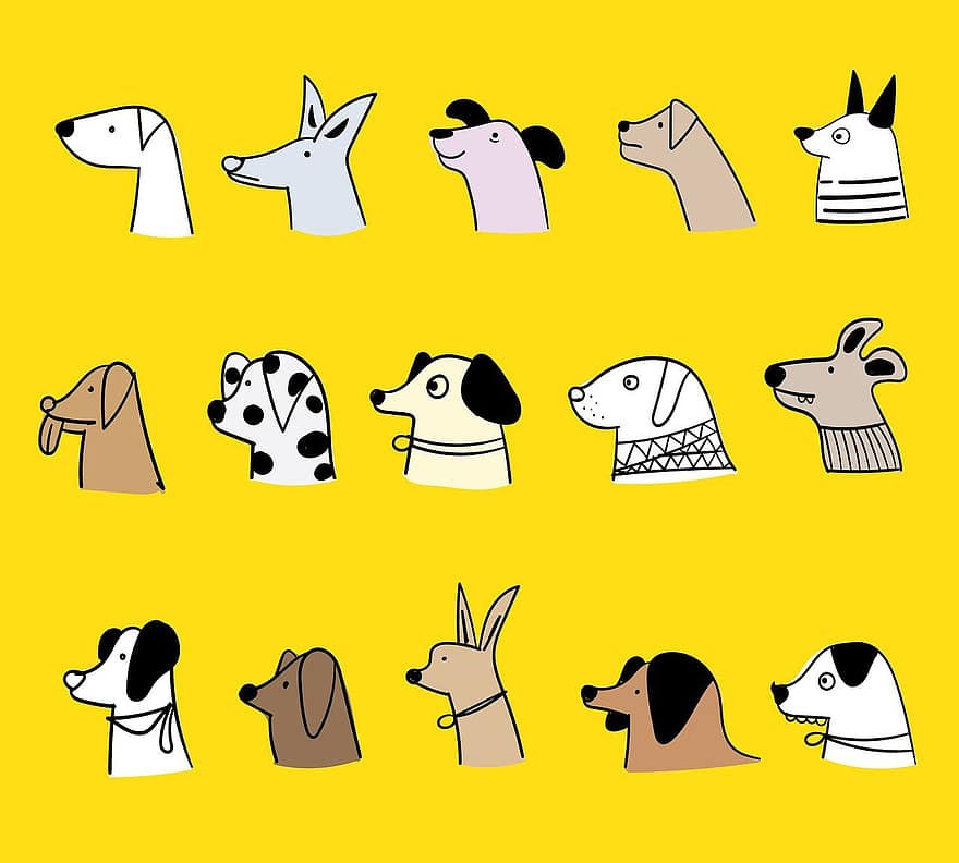 gossos, races, dibuix, caps, animals, mascotes, gosset, Gossos domèstics, bonic, adorable, col · lecció