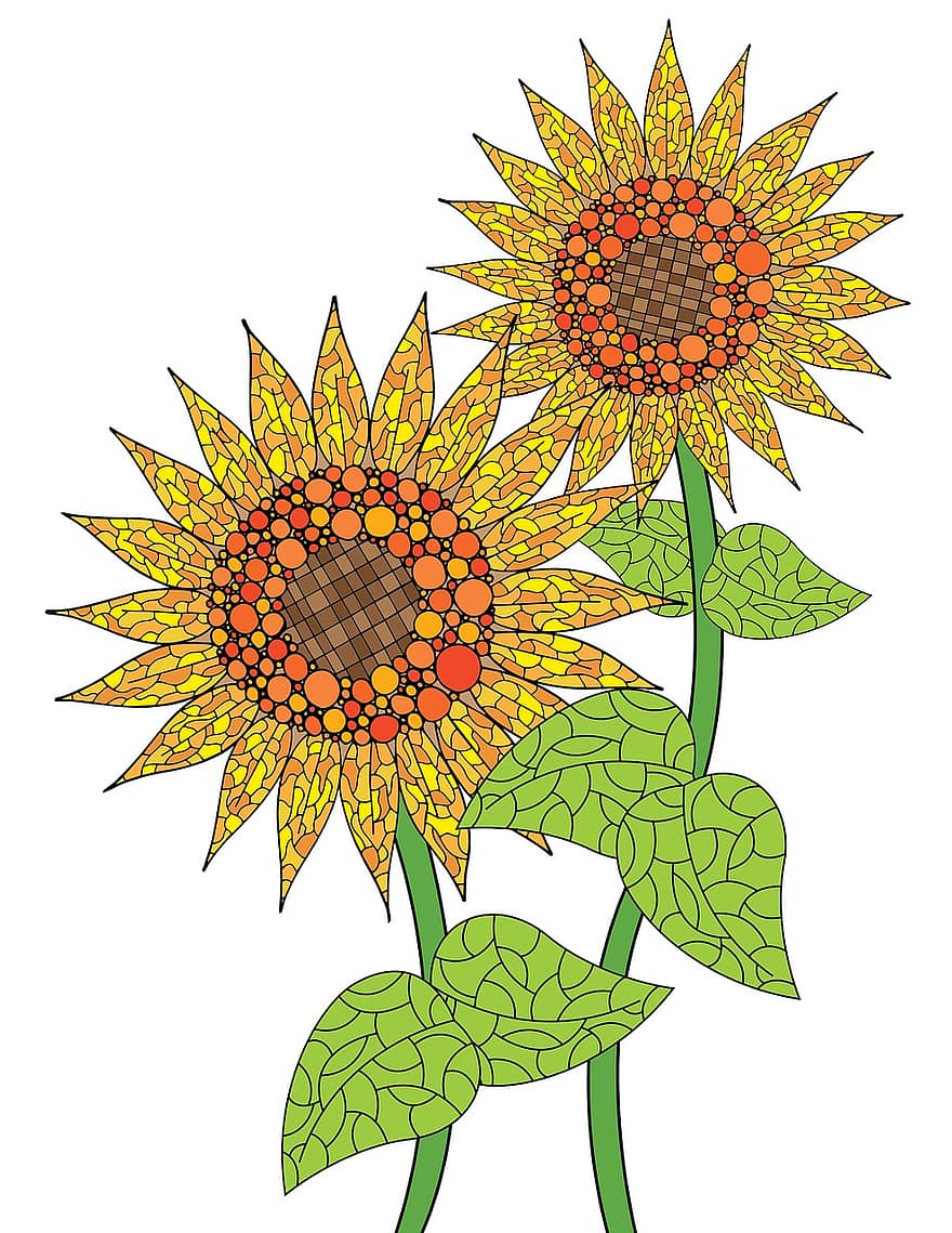 bunga matahari, bunga, berkembang, alam, di luar ruangan, Daun-daun