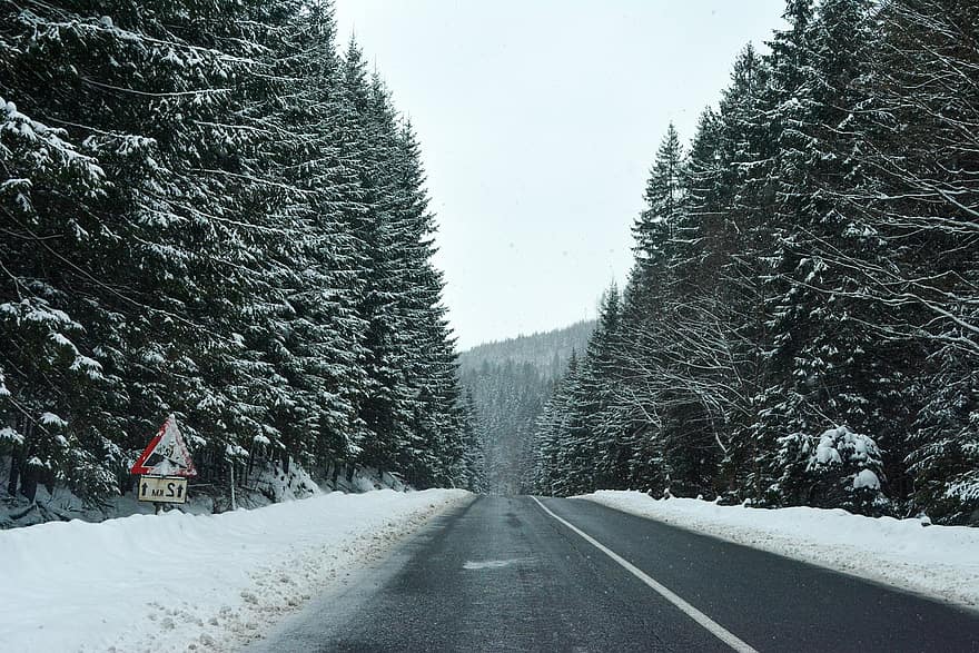 väg, vinter-, säsong, träd, vildmark, trän, utomhus, natur, skog, snö, landskap