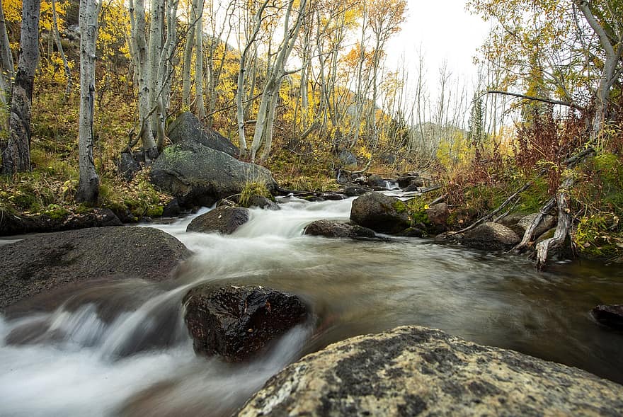 Příroda, Bishop Creek, podzim, sezóna, zátoka, les, strom, voda, krajina, Skála, list
