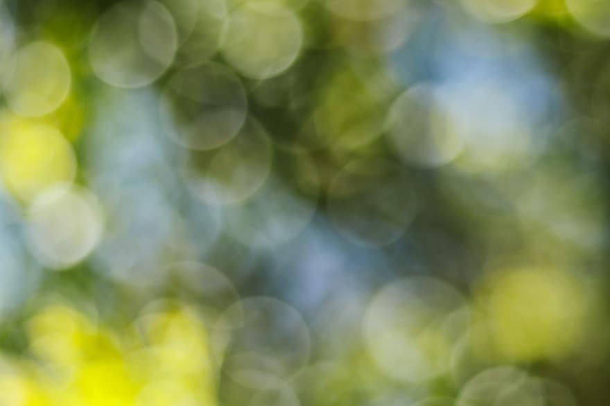 Bokeh Lights, Blur, Objective, defocused, abstract, backgrounds, green color, summer, pattern, shiny, multi colored