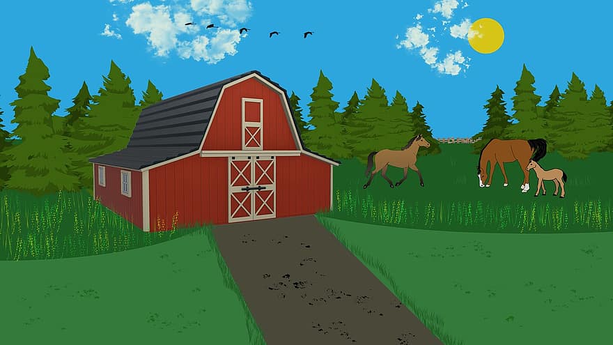 farm, schuur, paarden, veulen, dieren, boerderij, gebouw, weide, landelijk, platteland, landschap