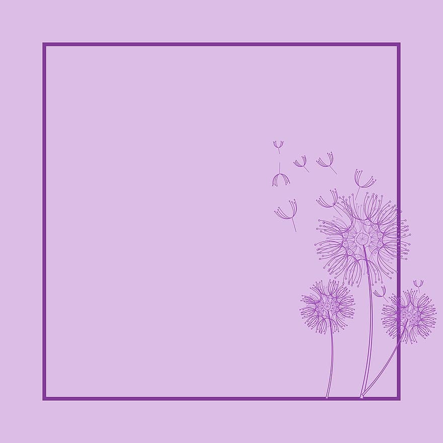 Dandelions, Flowers, Art, Card, Purple, Background, Frame, Nature, Plant, Weed, Wind