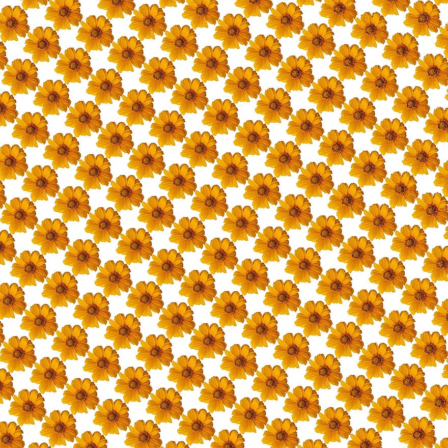 Muster, Hintergrund, Tapete, Blume, orange Hintergrund, orangene Blume, orangefarbene Tapete