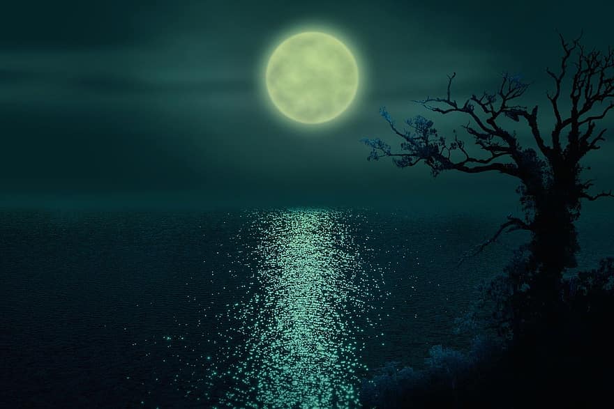 noche, Luna, lago, luz de la luna, árbol, manipulación de imagen, místico, misterioso, estado animico, oscuro, Luna llena