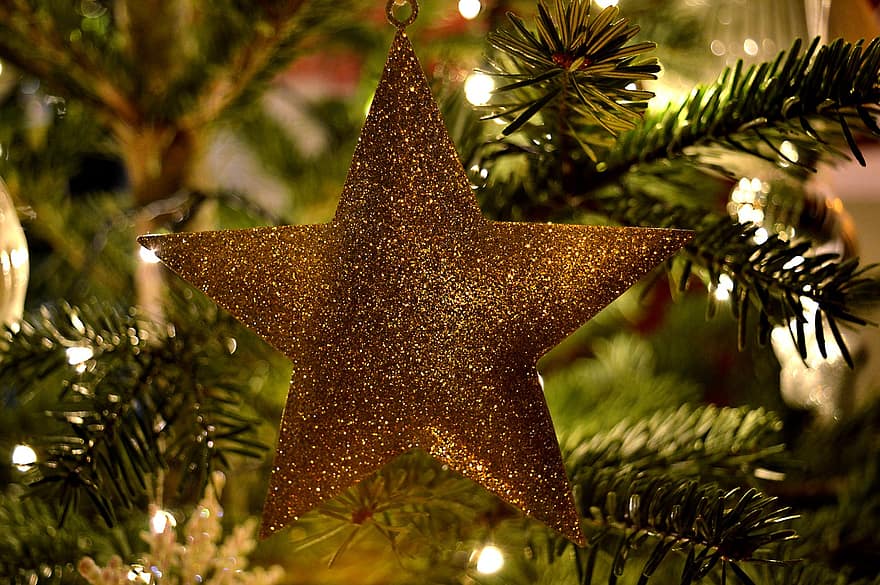 bintang, hari Natal, dekorasi, Selamat Natal, pohon cemara, pohon Natal, motif natal, keemasan, waktu Natal, pohon, perayaan