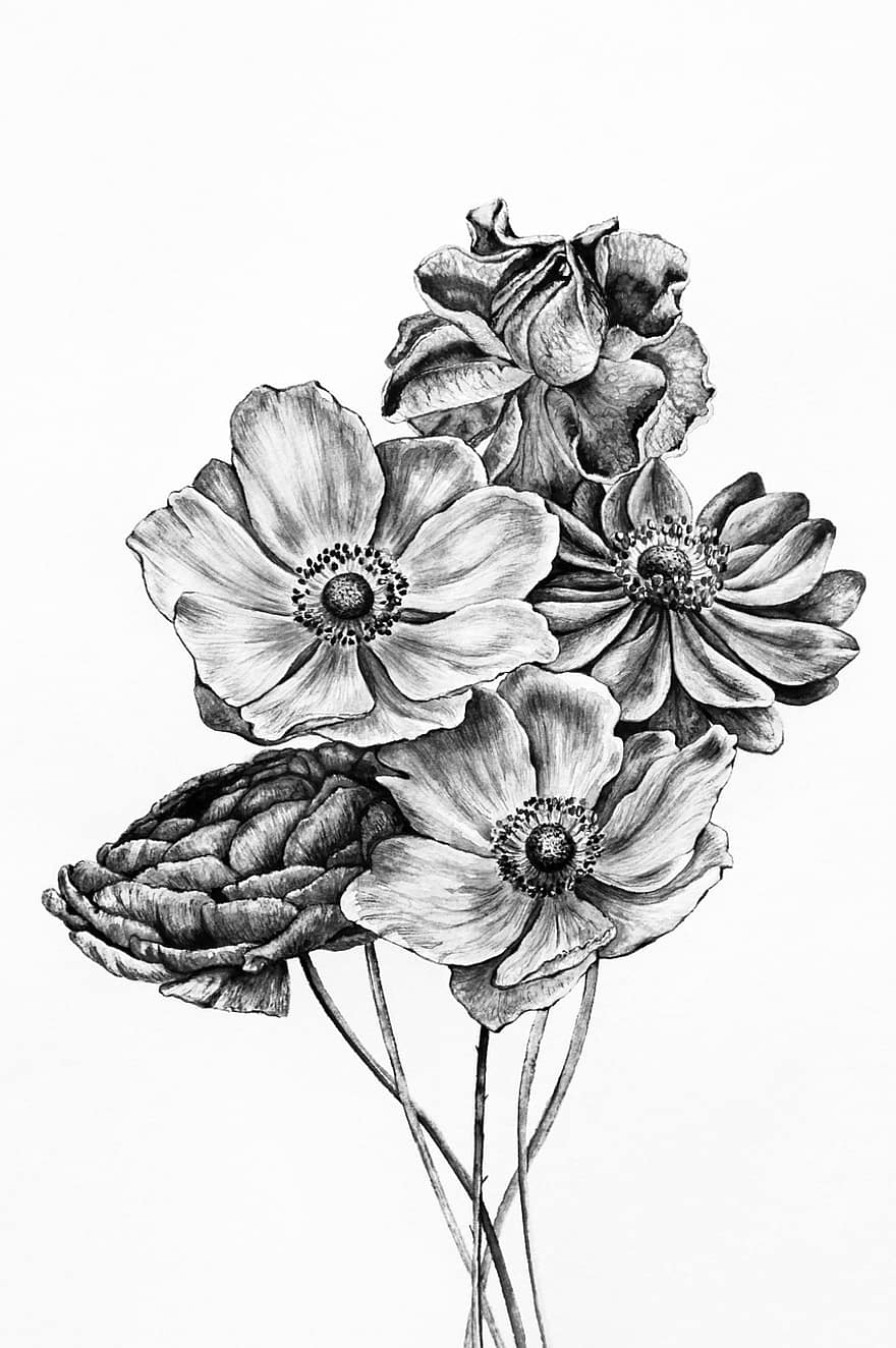 Black And White, Bunch, Of, Flowers, Drawing, Drawings, Monochrome, Floral, Decoration, Bouquet, Flower Bouquet