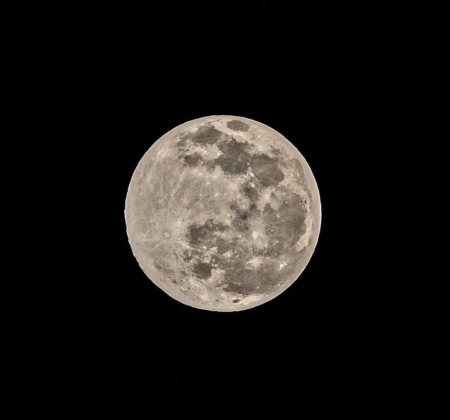 Luna, Luna llena, cielo, astronomía, noche, luz de la luna, superficie lunar, de cerca, oscuro, planeta, espacio