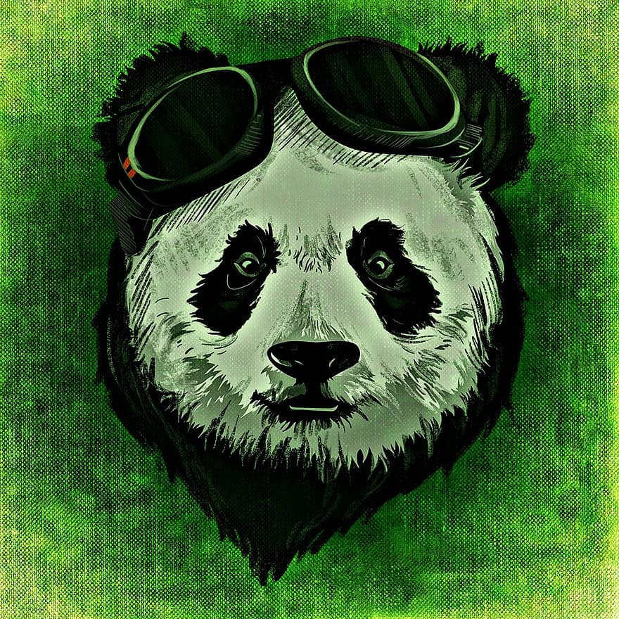 panda, animal, salvaje, resumen
