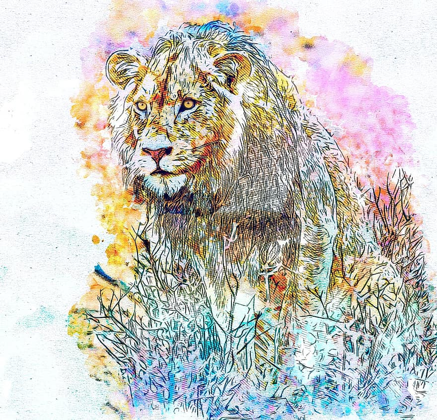 oroszlán, vad, állat, Művészet, absztrakt, vízfestmény, Afrika, természet, macska, szüret, póló