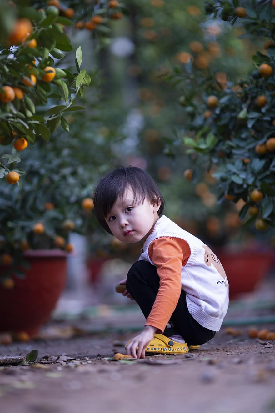 ребенок, девушка, апельсины, фрукты, кустарник, растения, милый, дитя, молодой, детство