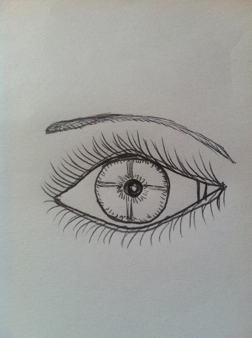 Hand Drawn, Eye, Eyebrow, Line Drawing, Eyelashes