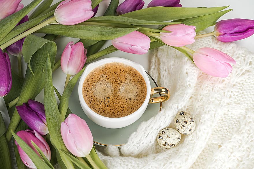 kaffe, tulipaner, vår, blomster, egg, tulipan, blomst, drikke, friskhet, bukett, kaffe kopp