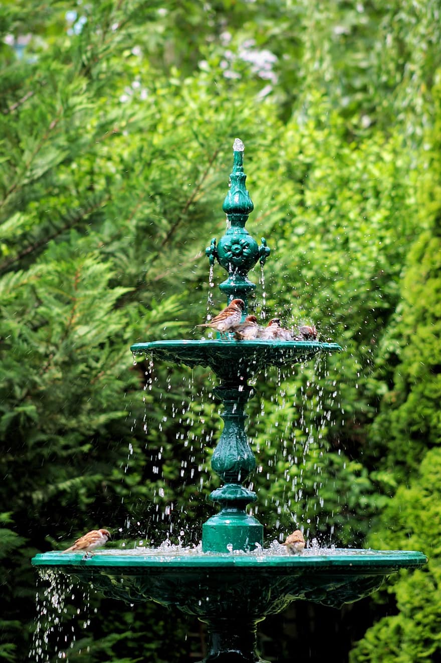 Birds, Fountain, Cascade, Ornamental