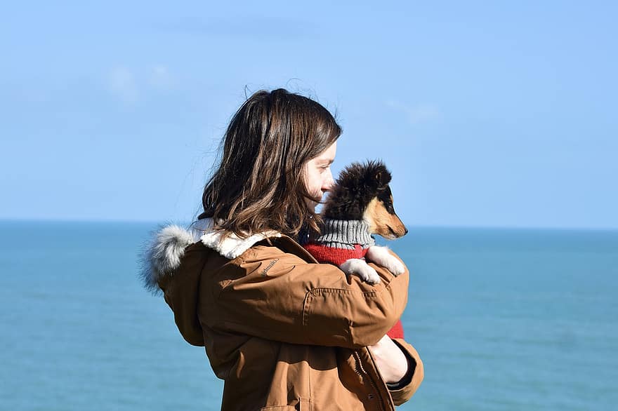 junges Mädchen und ihr Hund, Strand, freunde, Haustier, Eckzahn, Horizont, Meer, Ozean, Hündchen, Shetland Schäferhund, Hund