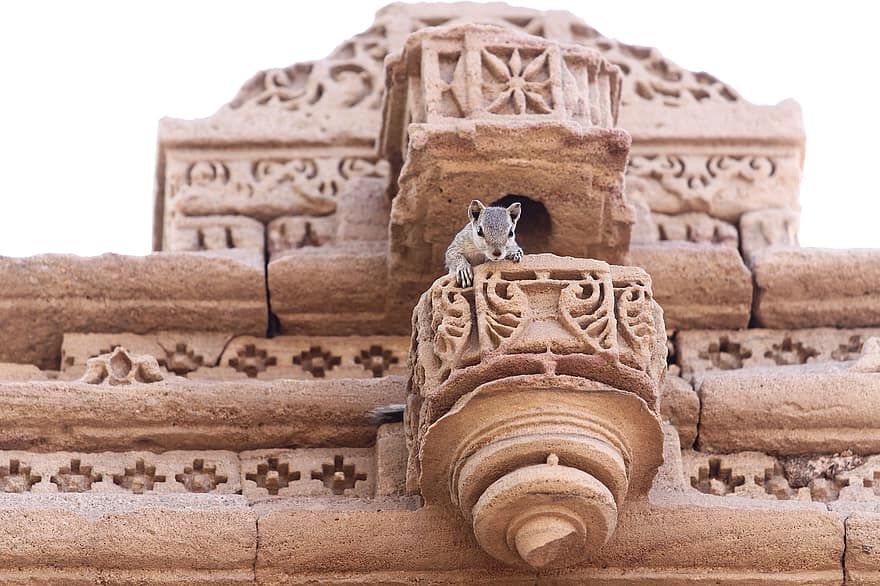 Squirrel, Temple, Ancient, Animal, Rodent, Religion, Medieval, Building, Monument, Historic, Historical