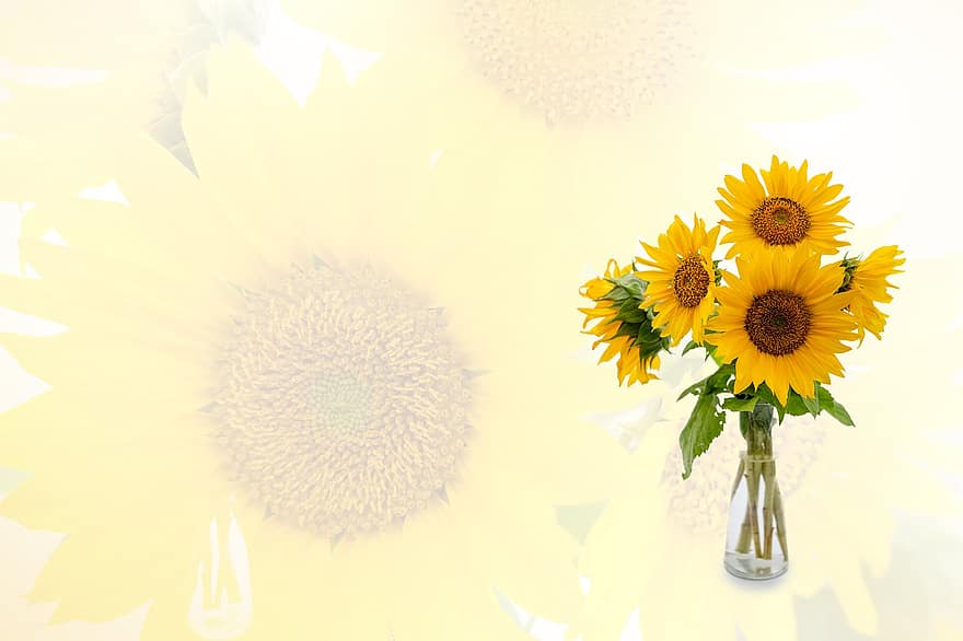solsikker, vase, arrangement, blomster arrangement, baggrund, tapet, design, floral design, kort, skabelon, postkort