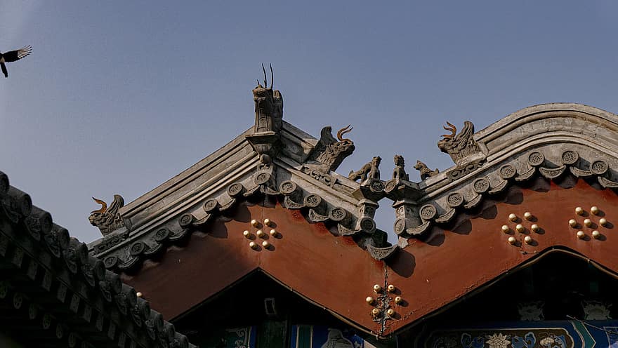 dak, paleis, huis, architectuur, deco, decoratie, geschiedenis, beijing, culturen, buitenkant van het gebouw, religie