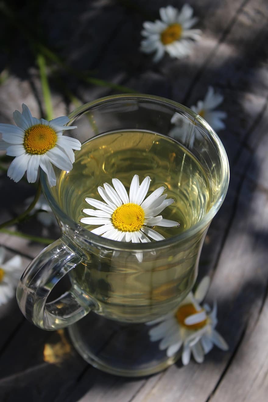 heřmánek, květiny, napít se, čaj, zdravý, pohár, aroma