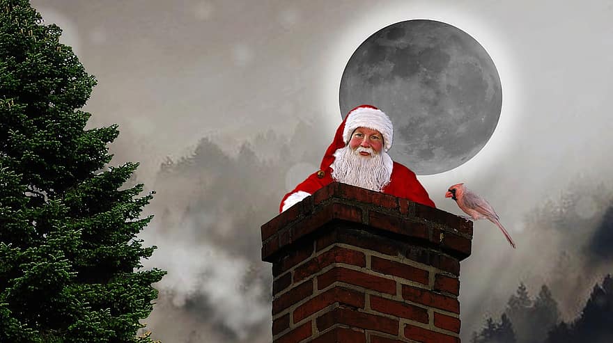 Дед Мороз, дымоход, Луна, время года, зима, Санта, сезонное, дерево, кардинальный